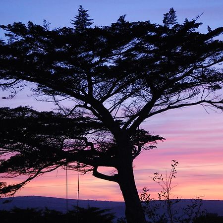 Bangors Organic Bed and Breakfast Bude Esterno foto
