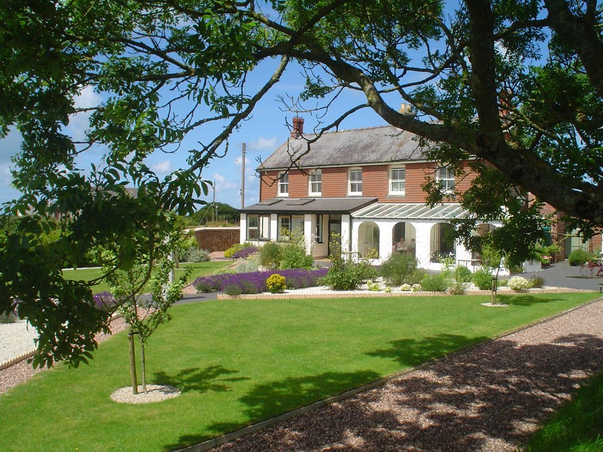 Bangors Organic Bed and Breakfast Bude Esterno foto